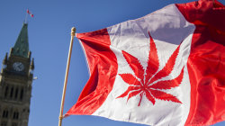 Canada not the first country to legalize marijuana