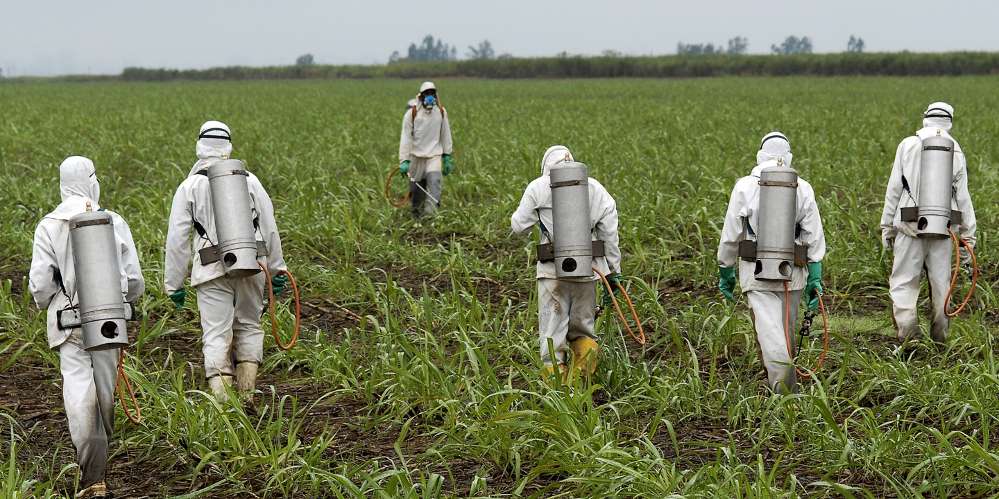 $2 Billion Judgement against Monsanto
